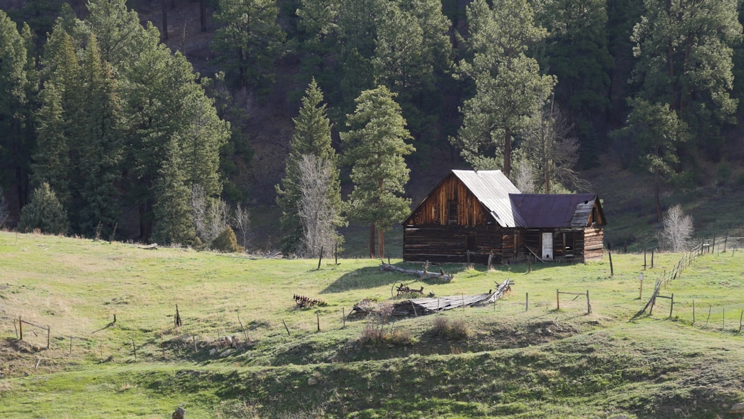 Secluded cabin in a natural landscape, suggesting escape to harmony with nature.