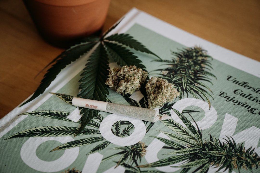 Cannabis buds and a rolled joint on a book about cultivating and enjoying cannabis.