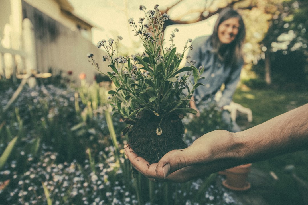 Hand holding potted plant and soil, woman gardening in background, connecting with nature.