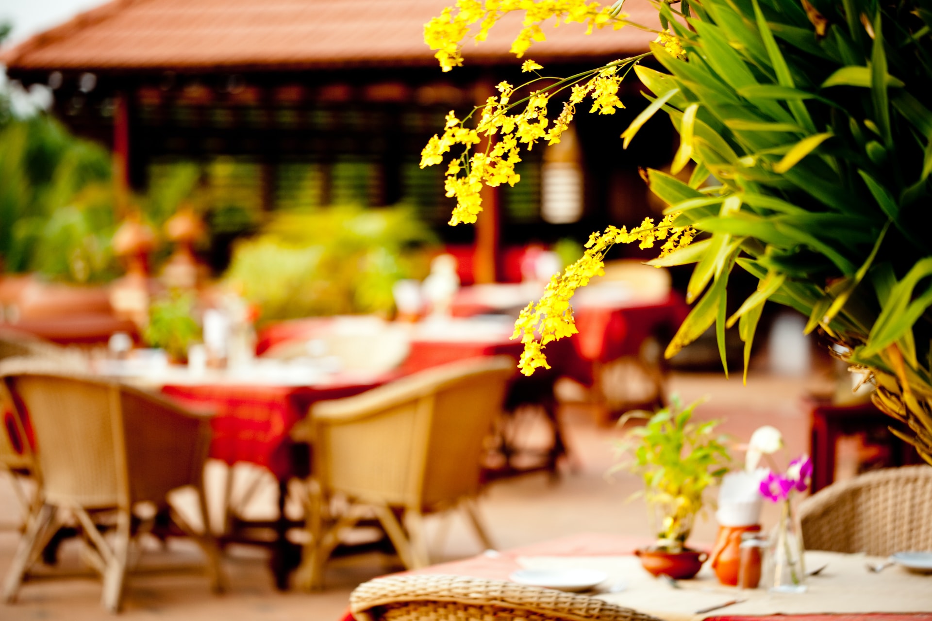Hawaiian restaurant interior with tables and chairs, vibrant floral decorations, and outdoor dining area.