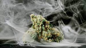 Cannabis bud surrounded by smoke illustrating first-time smoker experience