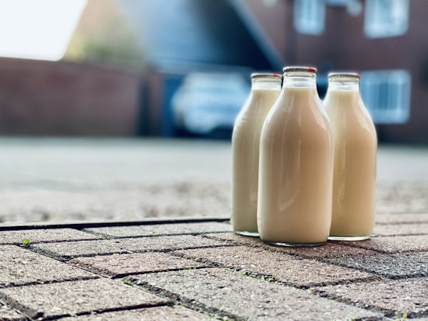 Bottles of dairy-free milk alternatives and ingredients, top view.