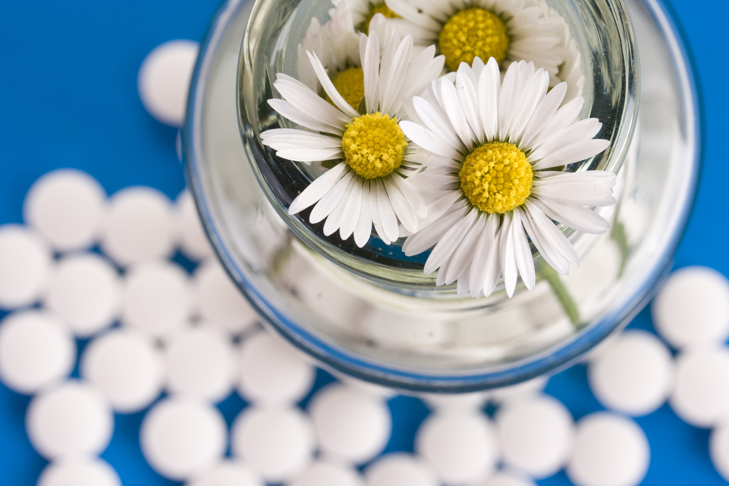Homeopathic medication and white pills with daisy flowers in a glass jar