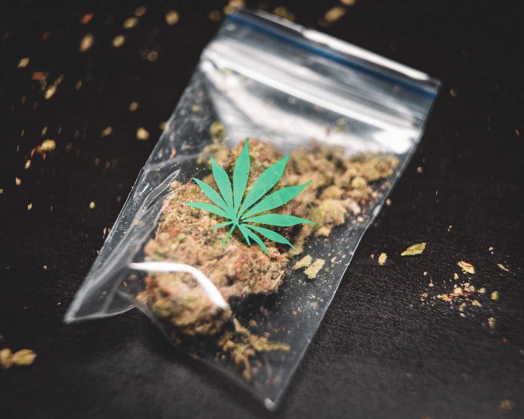 Plastic bag containing marijuana and cannabis leaf symbol, signs of adolescent drug use